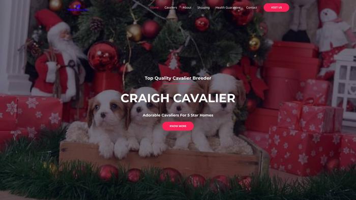 Craighcavalier.com - Cavalier King Charles Spaniel Puppy Scam Review