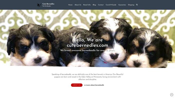 Cutebernedles.com - Bernedoodle Puppy Scam Review