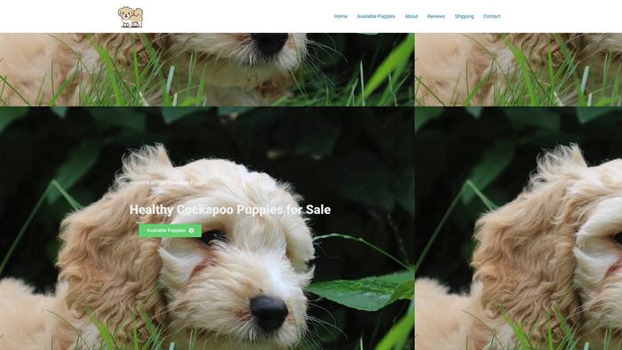 Cutecockapoo.com - Cockapoo Puppy Scam Review