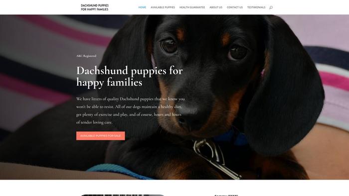 Dachshundpuppiesforhappyfamilies.com - Dachshund Puppy Scam Review