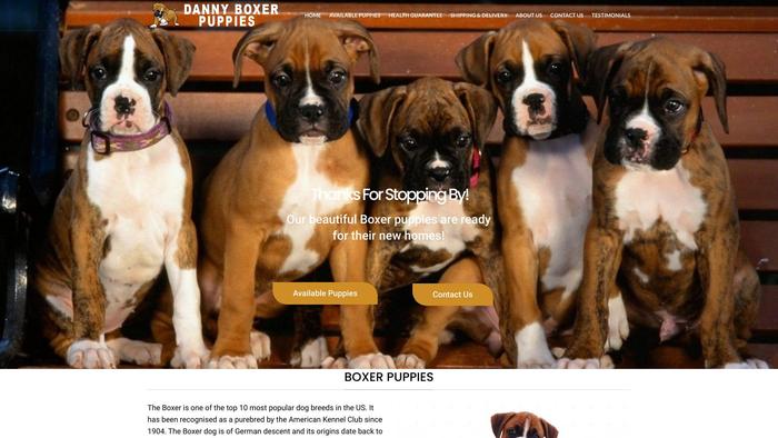 Dannyboxerpuppies.com - Boxer Puppy Scam Review