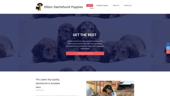 Dillondachshundpuppies.com - Dachshund Puppy Scam Review