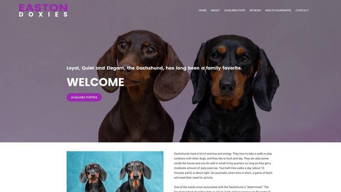 Eastondoxies.com - Dachshund Puppy Scam Review