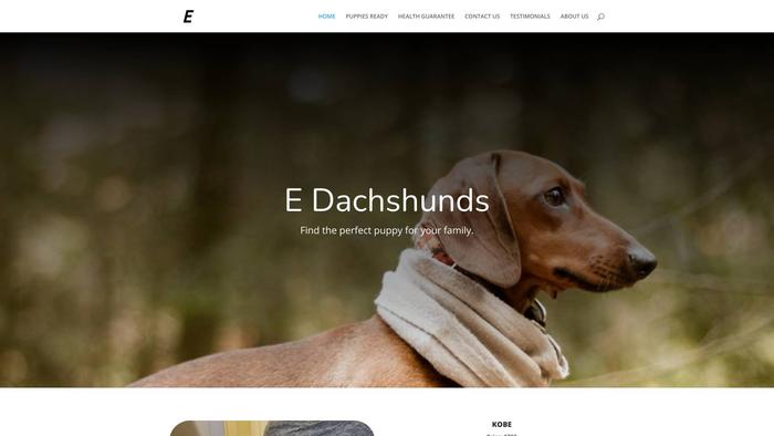 Edachshunds.com - Dachshund Puppy Scam Review