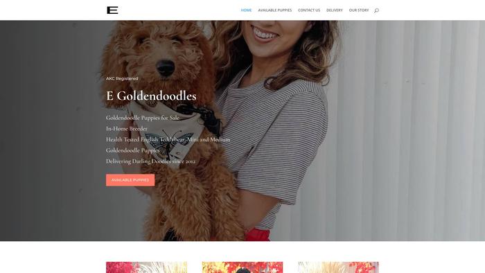 Egoldendoodle.com - Golden Doodle Puppy Scam Review