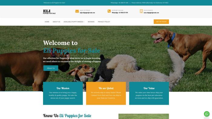 Elipuppiesforsale.com - Pug Puppy Scam Review