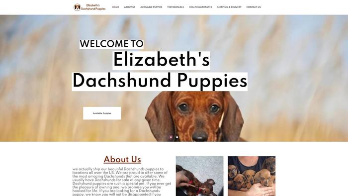 Elizabethsdachshundpuppies.com - Dachshund Puppy Scam Review