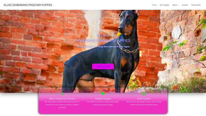 Elliesdobermanpinscherpuppies.com - Doberman Pinscher Puppy Scam Review