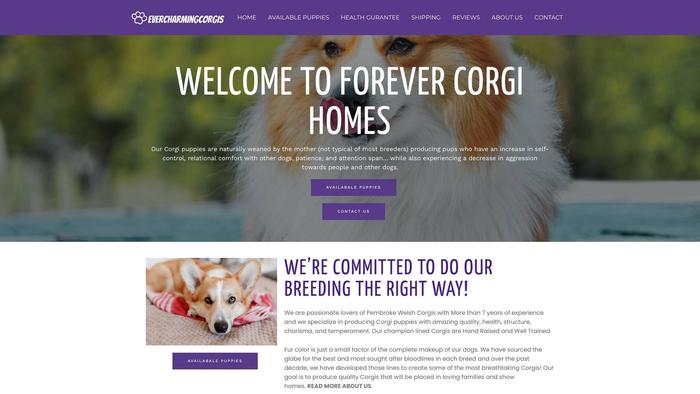 Evercharmingcorgis.com - Corgi Puppy Scam Review