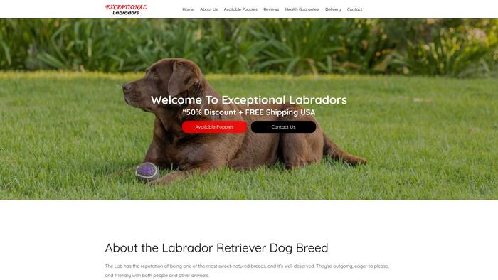 Exceptionallabradors.com - Labrador Puppy Scam Review