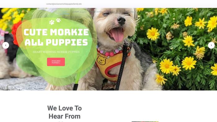 Exclusivemorkiepuppiesfamily.site - Yorkshire Terrier Puppy Scam Review