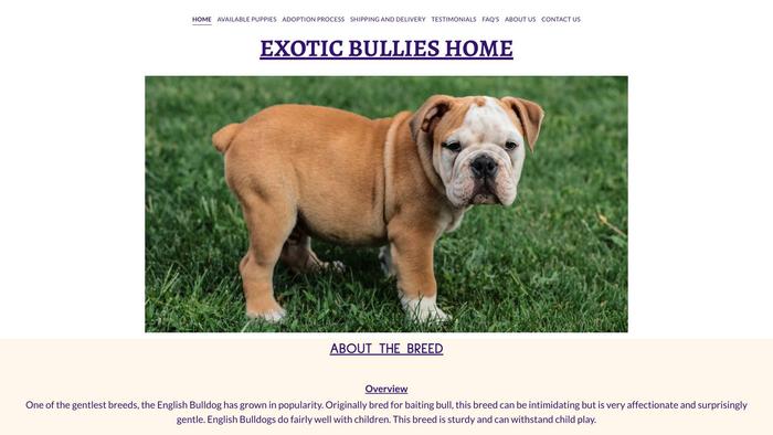 Exoticbullieshome.com - English Bulldog Puppy Scam Review