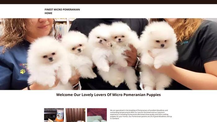 Finestmicropomeranian.com - Pomeranian Puppy Scam Review