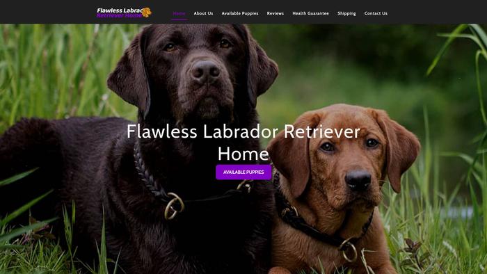 Flawlesslabradorretrieverhome.com - Golden Retriever Puppy Scam Review