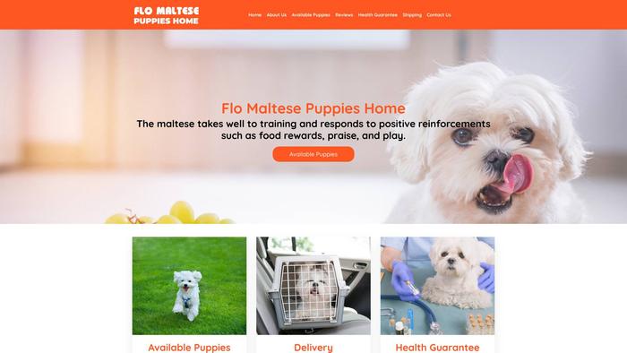 Flomaltesepuppieshome.com - Maltese Puppy Scam Review