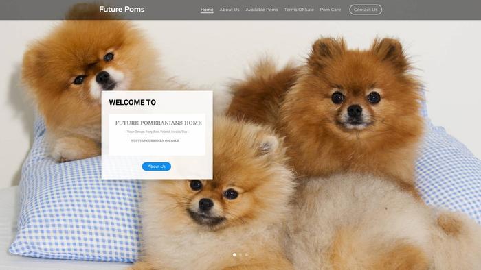 Futurepoms.com - Pomeranian Puppy Scam Review