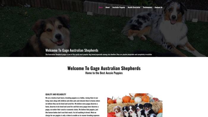 Gageaussies.com - Australian Shepherd Puppy Scam Review