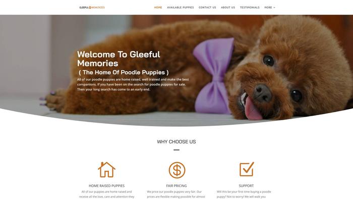 Gleefulmemories.com - Poodle Puppy Scam Review