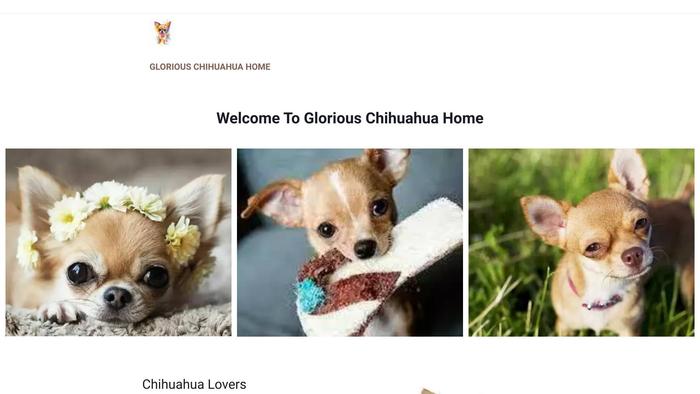 Gloriouschihuahuapups.com - Chihuahua Puppy Scam Review