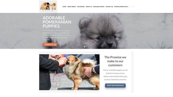 Gorgeousteacuppomeranianpuppies.com - Pomeranian Puppy Scam Review