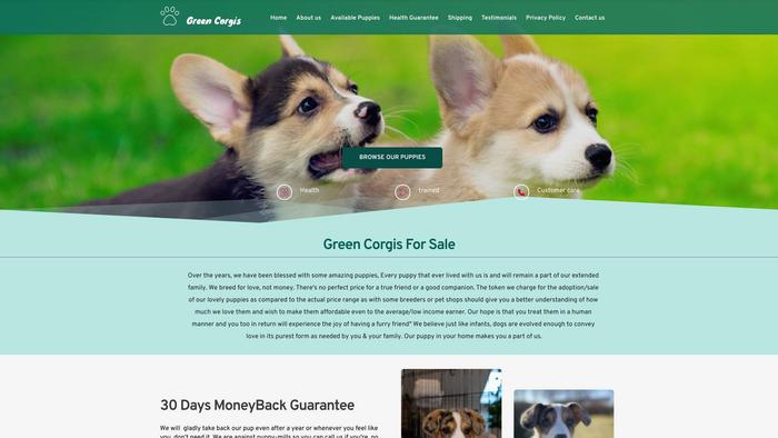 Greencorgisforsale.com - Corgi Puppy Scam Review