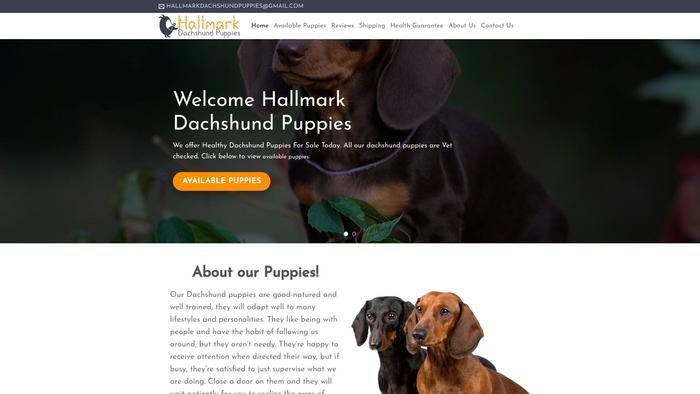 Hallmarkdachshundpuppies.com - Dachshund Puppy Scam Review