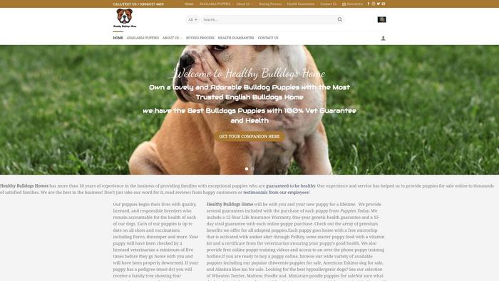 Healthybulldogshome.com - Bulldog Puppy Scam Review