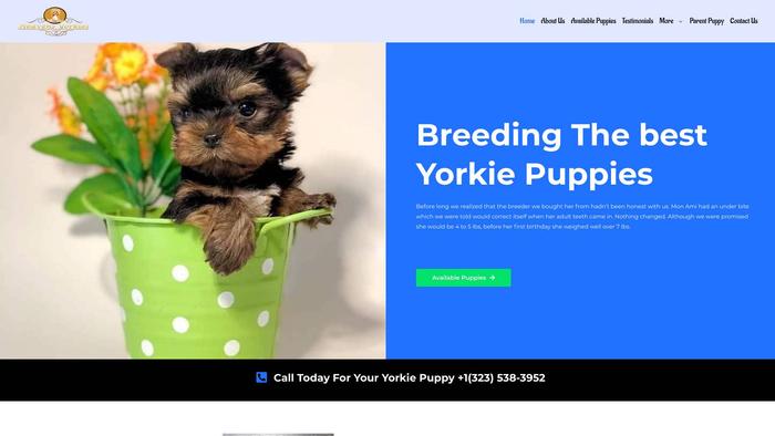 Heavensyorkies.com - Yorkshire Terrier Puppy Scam Review