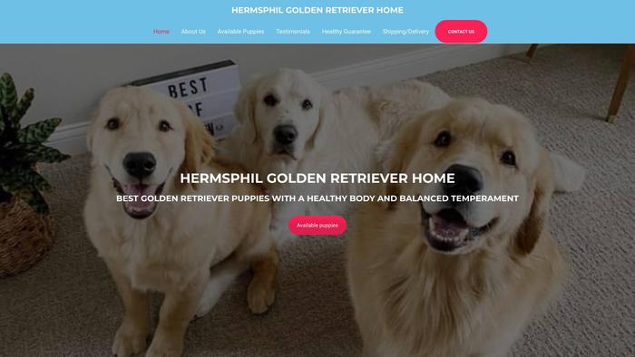 Hermsphilgoldenretrieverhome.com - Golden Retriever Puppy Scam Review