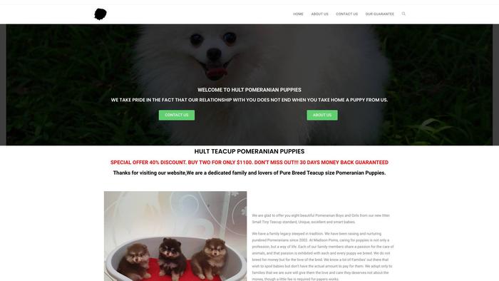 Hultpomeranianpuppies.com - Pomeranian Puppy Scam Review