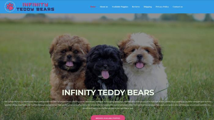 Infinityteddybears.com - Shichon Puppy Scam Review