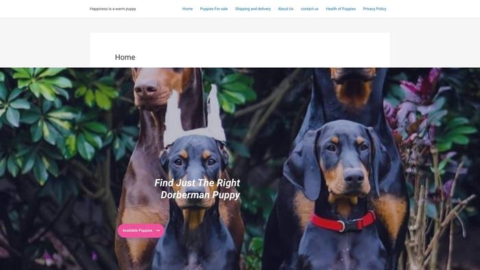 Intelligentdobermanpups.com - Doberman Pinscher Puppy Scam Review