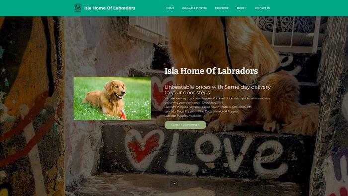 Islahomelabradors.com - Labrador Puppy Scam Review