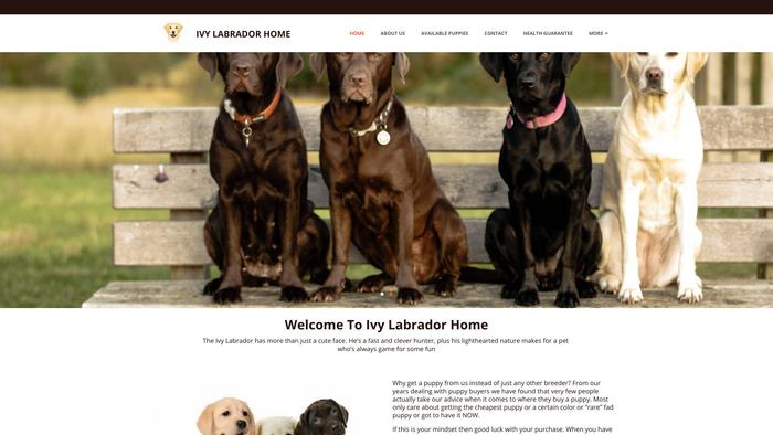 Ivylabradorpuppies.com - Labrador Puppy Scam Review