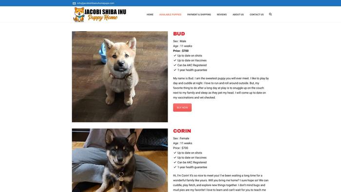 Jacobishibainuhomepups.com - Shibhainu Puppy Scam Review