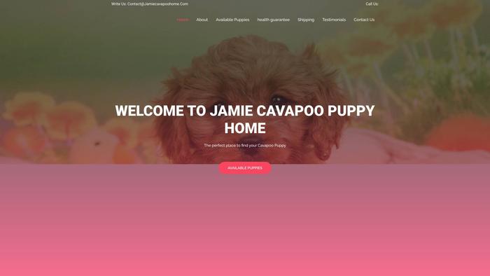 Jamiecavapoohome.com - Cavapoo Puppy Scam Review