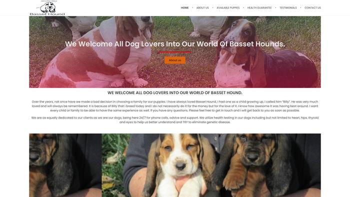 Jenniferalbabassethoundhome.com - Bassethound Puppy Scam Review