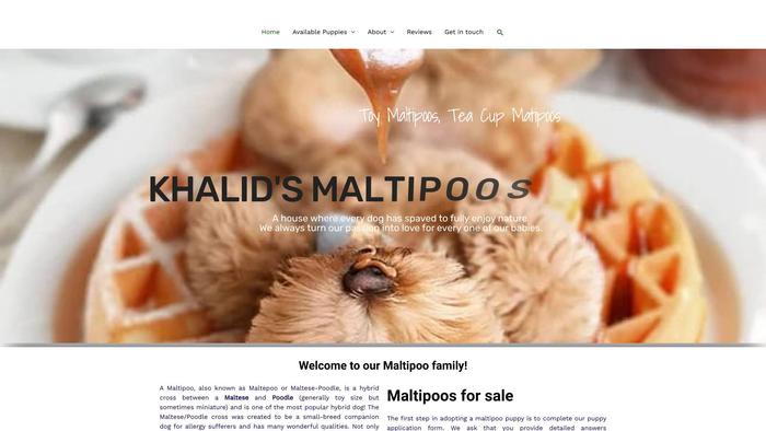 Khalidsprimemaltipoohouse.com - Maltipoo Puppy Scam Review