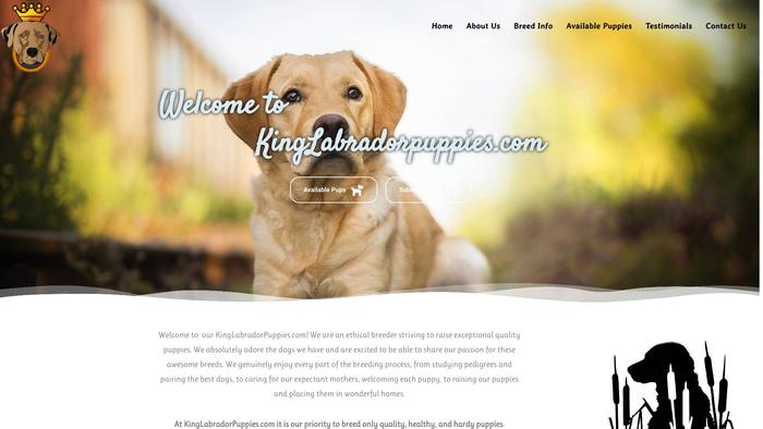 Kinglabradorpuppies.com - Labrador Puppy Scam Review