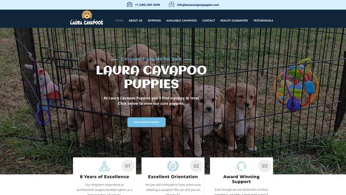 Lauracavapoopuppies.com - Cavapoo Puppy Scam Review