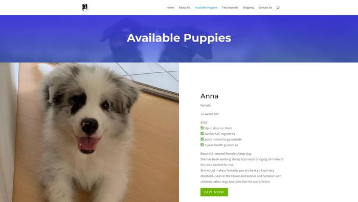 Leonwellsbordercolliehome.com - Bordercollie Puppy Scam Review