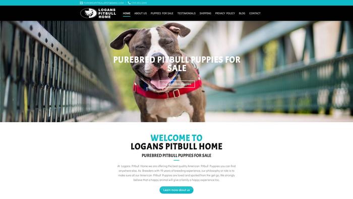 Loganspitbullhome.com - Pit Bull Puppy Scam Review