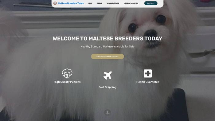 Maltesebreederstoday.com - Maltese Puppy Scam Review