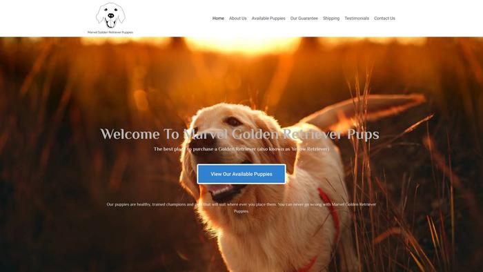 Marvelgoldenretrieverpups.com - Golden Retriever Puppy Scam Review