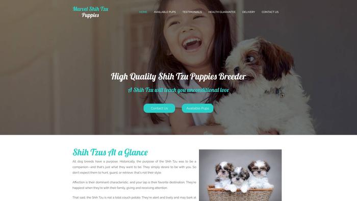 Marvelshihtzupuppies.com - Shihtzu Puppy Scam Review