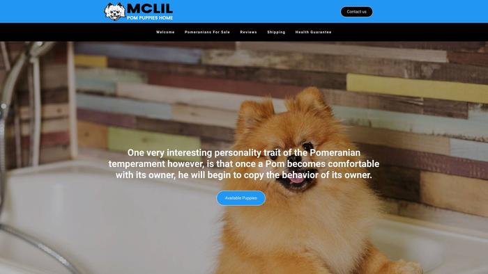 Mclilpompuppieshome.com - Pomeranian Puppy Scam Review