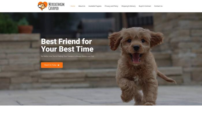 Meredithkimcavapoo.com - Cavapoo Puppy Scam Review