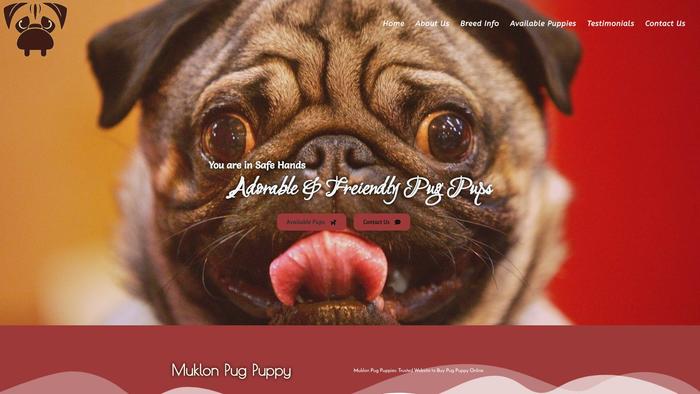 Muklonpugpuppies.com - Pug Puppy Scam Review