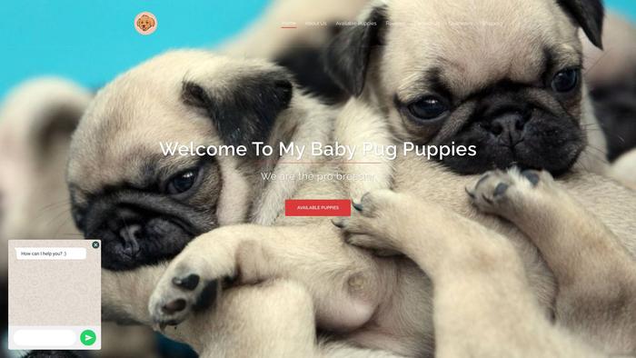 Mybabypug.com - Pug Puppy Scam Review