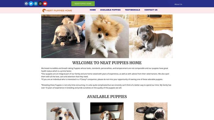 Neatpuppieshome.com - Australian Shepherd Puppy Scam Review